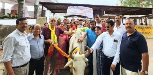 gau sewa e1691502290906 भाविप उड़ान ने किया गौ पूजन, लिया आशीर्वाद