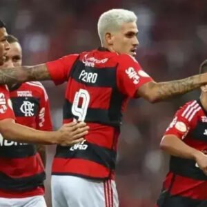 Flamengo फ्लेमिंगो: ब्राजील का गौरव