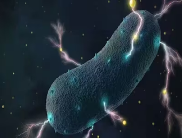 bacteria e1694931035575 बैक्टीरिया से बिजली बनाने का नया तरीका, स्विट्जरलैंड के वैज्ञानिकों की खोज