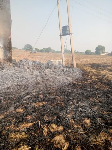 WhatsApp Image 2023 10 29 at 7.15.41 PM e1698591179404 Agra News : दो अलग-अलग जगहों पर विद्युत चिंगारी से करब के गट्ठरों में लगी आग