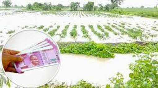 kisan उत्तर प्रदेश सरकार ने किसानों को फसल नुकसान के लिए वित्तीय सहायता प्रदान करने के लिए नई योजना शुरू की