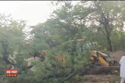 Screenshot 2024 05 28 23 41 51 78 6012fa4d4ddec268fc5c7112cbb265e7 कागारौल में दर्जनों हरे पेड़ों को जेसीबी से उखाड़ा