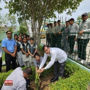 IMG 20240701 WA0657 वृक्षारोपण कर दिया पर्यावरण संरक्षण संदेश