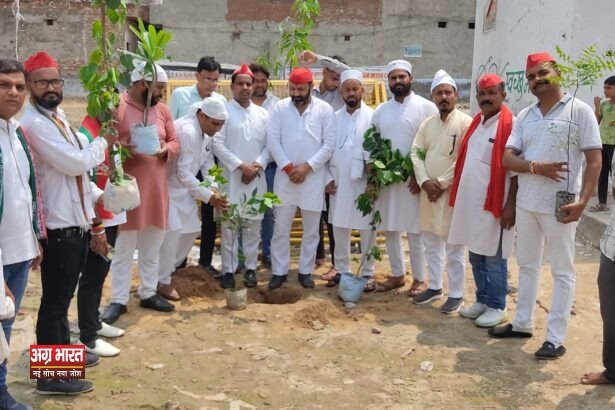 IMG 20240701 134158 समाजवादियों ने अखिलेश यादव के जन्मदिवस पर बाबा कमाल पर चादर पॉशी कर मांगी दुआ, फल और वृक्षारोपण भी लिए