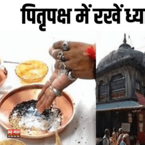 1 52 पितृ पक्ष 2024: 17 सितंबर को कुतुप काल में पहला श्राद्ध; पितृ तर्पण से मिलेगा लाभ, वैदिक ब्राह्मणों द्वारा संपन्न कराएं पितृ तर्पण