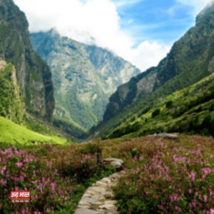 valley of flowers फूलों की घाटी: प्रकृति का रंगमंच, पर्यटकों का आकर्षण