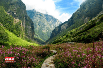 valley of flowers फूलों की घाटी: प्रकृति का रंगमंच, पर्यटकों का आकर्षण