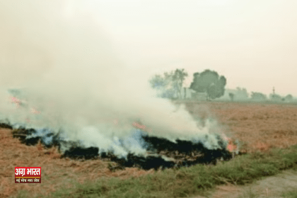 1 121 ताजमहल बचाओ अभियान: शीतकालीन वायु प्रदूषण से निपटने के लिए व्यापक योजना