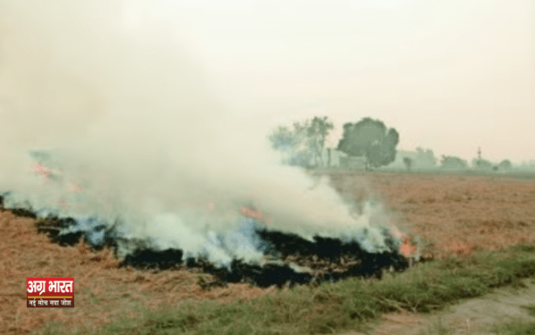 1 121 e1729151687784 ताजमहल बचाओ अभियान: शीतकालीन वायु प्रदूषण से निपटने के लिए व्यापक योजना