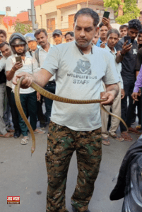 SNAKE 3 आगरा में सांपों का कहर: कारों में छिपे सांपों ने मचाया हड़कंप