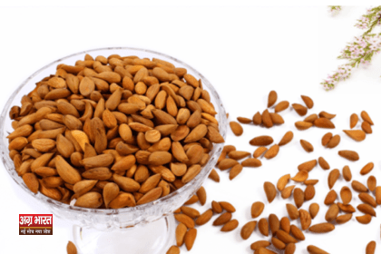 almond 3 बाजार में नकली बादाम आ गया, कैसे करेंगे पहचान? अपनाएं ये आसान तरीका