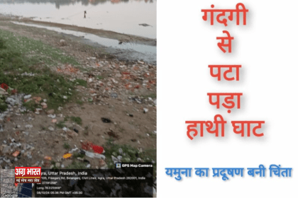 hathi ghat Agra News: हाथी घाट की उपेक्षित सफाई, यमुना का प्रदूषण बनी चिंता