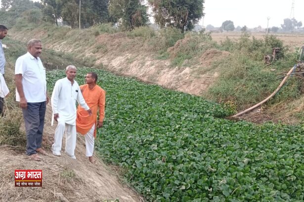 IMG 20241116 WA0012 अग्र भारत,, की मुहिम का हो रहा व्यापक असर, जिले में नहरों की सफाई में अनियमितताओं पर फूटा आक्रोश