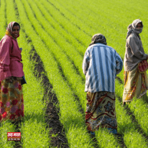 farmer PM Kisan Yojana: 19वीं किस्त कब आएगी? जानिए किसे मिलेगा लाभ और किसे नहीं