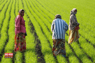 farmer PM Kisan Yojana: 19वीं किस्त कब आएगी? जानिए किसे मिलेगा लाभ और किसे नहीं