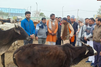 gaushala 1 Mainpuri News: क्षेत्र गौ सेवा प्रमुख ने गौशाला की व्यवस्थाओं का किया निरीक्षण