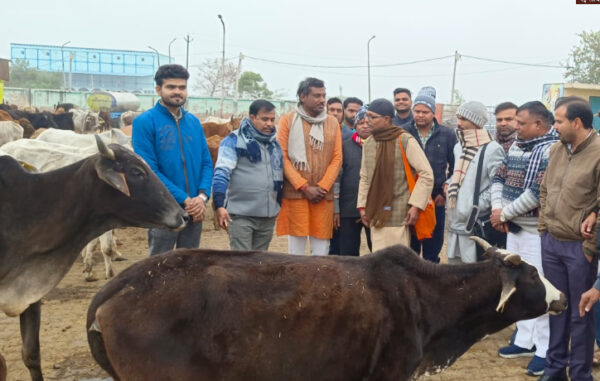 gaushala 1 e1735650709867 Mainpuri News: क्षेत्र गौ सेवा प्रमुख ने गौशाला की व्यवस्थाओं का किया निरीक्षण