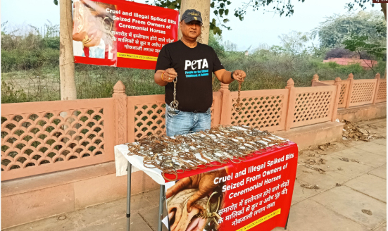 peta 1 आगरा पुलिस और PETA इंडिया ने जब्त किए क्रूर काँटेदार लगामें, घोड़ों की शारीरिक पीड़ा के खिलाफ सख्त कार्रवाई